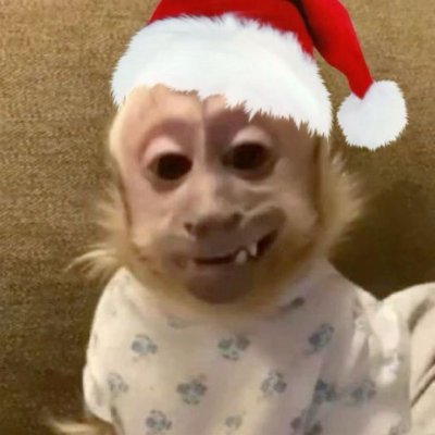 blitindoroi's profile picture. 