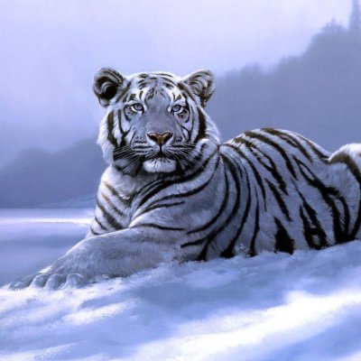 double1600's profile picture. 😶‍🌫️