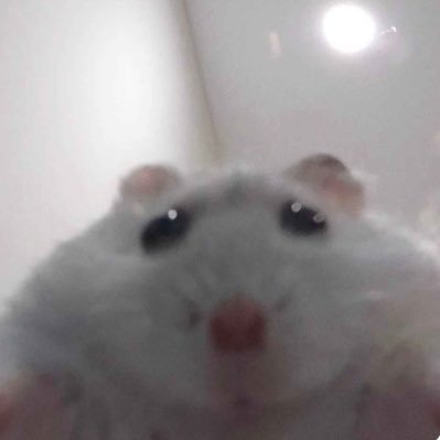 NA_89_Bi's profile picture. 어쩔수가없어요 진짜 어쩔 수가 없슨이거든요 어쩔수가있는척하고싶지않아요 왜냐면 정말 어쩔 수가 없어 도무지 어쩔수가있다는말이입밖으로나오지를않네요 이렇게 어쩔수가없다니 정말 어쩔수가없죠 하지만 어떡해요 어쩔수가없는데 어쩔수가없어요 진짜어쩔수가없슨이거든요 어쩔수가있는척하고싶지