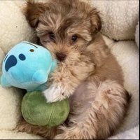 satellite (@satelliteval_) 's Twitter Profile Photo satellite (@satelliteval_) 's Twitter Profile Photo