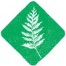 GreenPartyWA's profile picture. Your anti-capitalist political home for People, Peace, and Planet