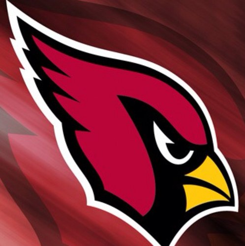 Its_Burnout's profile picture. Gaming, Anime, and Football. Go Cards!