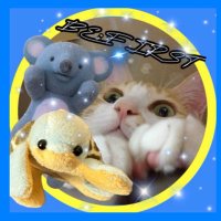 kao_lettuce🧢🐢 (@na_suke910) 's Twitter Profile Photo