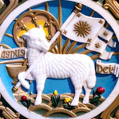 👼수달🐑さんのプロフィール画像