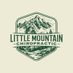 Little Mountain Chiropractic (@themtnchiro) Twitter profile photo