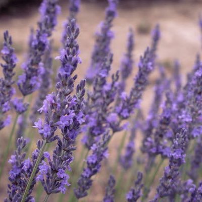 stockwatchsthlm's profile picture. Money is the key to end all your woes Your ups, your downs, your highs and your lows