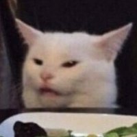 Unacceptable Friendo (@friendo777) 's Twitter Profile