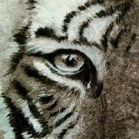 Fabiano Secolo (@fabianosec21640) 's Twitter Profile