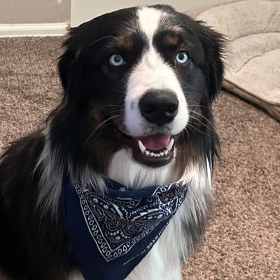 Lance Profile
