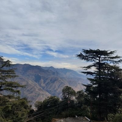 cscindia73's profile picture. 