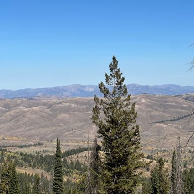 Jellison580's profile picture. 