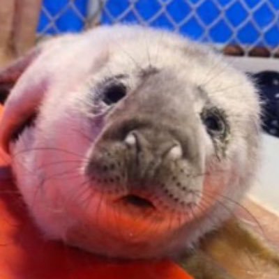 1maras4's profile picture. 