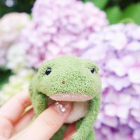 かにみそ (@kerobuono) 's Twitter Profile