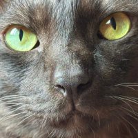 Amanda (@daybeforeaug) 's Twitter Profile