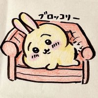 ブロッコリー (@pluyaultra) 's Twitter Profile Photo ブロッコリー (@pluyaultra) 's Twitter Profile Photo