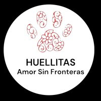 Huellitas amor sin fronteras (@hasf_anasdiaz) 's Twitter Profile Photo Huellitas amor sin fronteras (@hasf_anasdiaz) 's Twitter Profile Photo