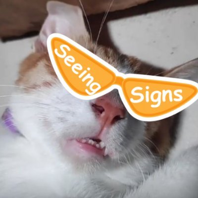 MitchujinVbnch's profile picture. GKSVL8W6