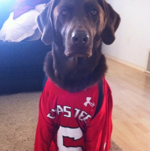 DrJayTTU's profile picture. 