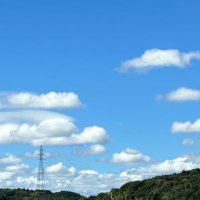 ひつじ (@qvstxg) 's Twitter Profile