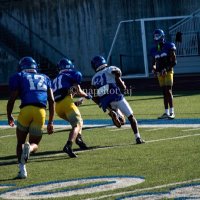 Matthew Gober Jr (@mattgober5) 's Twitter Profile