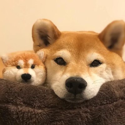 ddhl18's profile picture. If you can't hold, you won't be rich. #sol