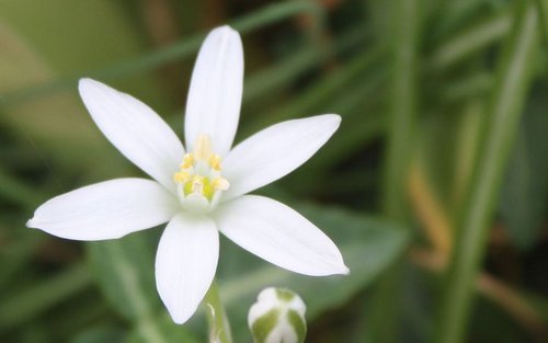 Encuéntanos en @Flores_de_Bach