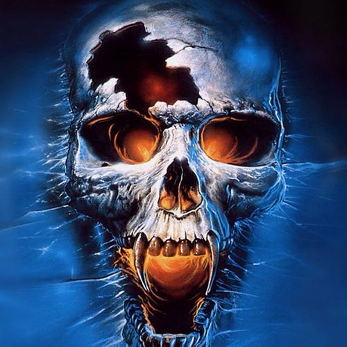 killer4810's profile picture. 