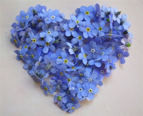 _MysteryOfLife's profile picture. Земля эта находится за пределами привычного  мира, в другом измерении. Все там суть Радость.  #followback