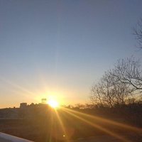十七代目戸張平次左衛門 (@tobari17daime) 's Twitter Profile