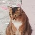 Desmond (@desmond_owo_1) Twitter profile photo Desmond (@desmond_owo_1) Twitter profile photo