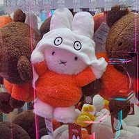조명등 (@hankaisr94) 's Twitter Profile Photo