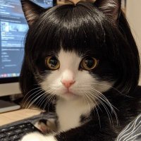 flyself.g (Γ,G) β TΞNSSI ( ) (π,π) βπ οΈ (@hillrogokk) 's Twitter Profile
