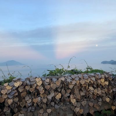 jinhojung's profile picture. hello world