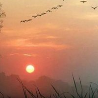 Choudhary ji (@choudharyji958) 's Twitter Profile