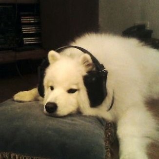 pockychan_n's profile picture. ♡ 🇰🇿  she / her ; 
digital artist . 
multifandom  —  ! do not repost without credits