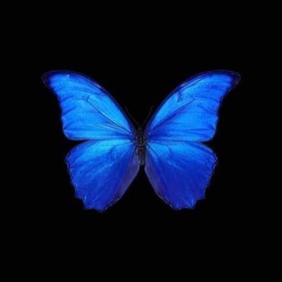 Brius 🇫🇷🇦🇷🇨🇺さんのプロフィール画像