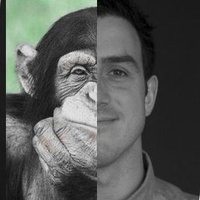 Mathieu Cunche @Cunchem@mastodon.social (@cunchem) 's Twitter Profile