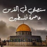 Sharif from gaza (@alarjasarif2) 's Twitter Profile Photo Sharif from gaza (@alarjasarif2) 's Twitter Profile Photo