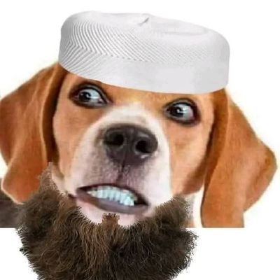 ollahakbur's profile picture. (Na केशरिया mera हे na हरा mera he
(Mera to धर्म ही हिन्दुस्तानी हे pura
(Tiranga mera हे 🇮🇳 ❤️