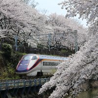 となみの鉄道 (@tonami_railway) 's Twitter Profile Photo となみの鉄道 (@tonami_railway) 's Twitter Profile Photo