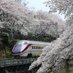 となみの鉄道 (@tonami_railway) Twitter profile photo となみの鉄道 (@tonami_railway) Twitter profile photo