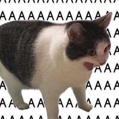Coding_Butler's profile picture. 두비두밥🐈‍⬛