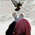 ضُحی (@umm_zuha) Twitter profile photo ضُحی (@umm_zuha) Twitter profile photo