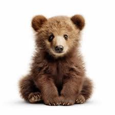 babybearrxxx's profile picture. Just Live What You Love~