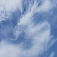 九十九はつ目 (@umitotutine) 's Twitter Profile
