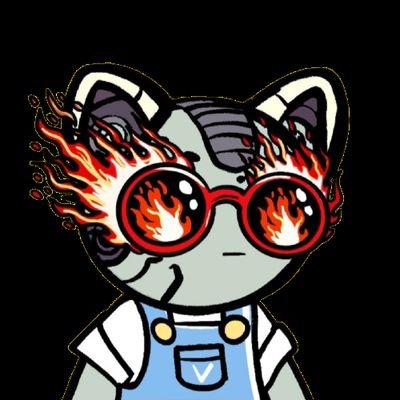 stanokcrypto's profile picture. 100% degenerate | Plan to retire my bloodline | Content Creator