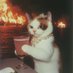 $ (@lil3_l) Twitter profile photo $ (@lil3_l) Twitter profile photo