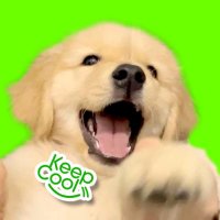 puppy | ชอบกินไก่✨️ (@p_puppy_01) 's Twitter Profile