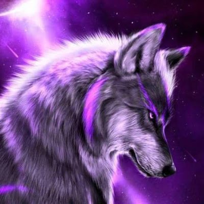 khameneh_nima's profile picture. administrator/bug hunter/nethunter