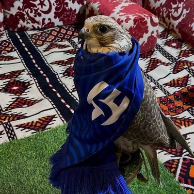 hdoy1990's profile picture. "اللهّم اصَلحني قبل الوفاة ، وأحَسن خاتمتي ، و توفني وانت راضٍ عني ، وسخر لي من يدعو لي بعد وفاتي "